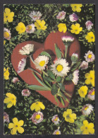 096529/ Coeur Et Fleurs De Printemps, Ed G. Picard Paris - Valentine's Day