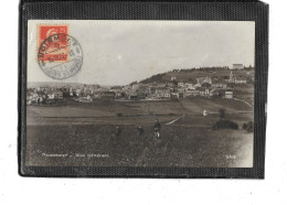 Europe-Suisse- NOIRMONT -( Jura ) -Une Vue Générale Du Village-Eécolte De FLEURS - Autres & Non Classés