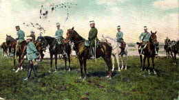 > Guerre 1914-18    OESTERR   MILITAR  19 /   CHEVAL /// 23 - Oorlog 1914-18