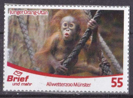 BRD Privatpost Brief Und Mehr (55) Junger Orang-Utan O/used (A4-4) - Privées & Locales