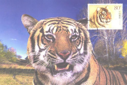 China:Maxi Card, South China Tiger, 2004 - Tigers