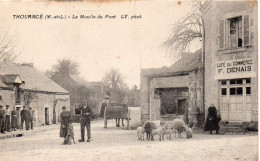 Thouarcé Animée Moulin Du Pont Café Du Commerce F. Denais Moutons - Thouarce
