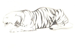 V.Vatagin:Tiger, 1978 - Tijgers