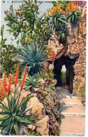 MONACO -- MONTE CARLO -- CPA Taxée -- Le  Jardin Exotique - Exotic Garden