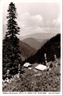 Feldberg , Zastler Hütte (Bahnpost Stempel: Konstanz-Basel 1937) - Feldberg