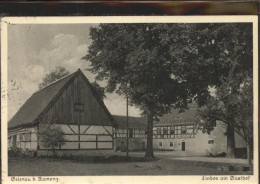 41302313 Gelenau Kamenz Linden Am Gasthof Gelenau Kamenz - Kamenz