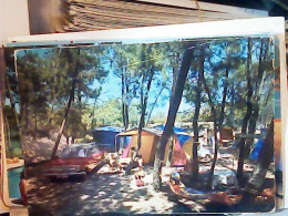 TIRRENIA  CAMPING AUTO CAR . V1968   JT6365 - Pisa