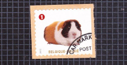 2012 Nr 4231 Gestempeld Op Fragment,zegel Uit Boekje B128.Gezelschapsdieren / Animaux De Compagnie. - Used Stamps