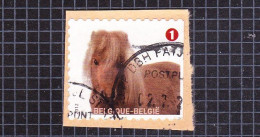 2012 Nr 4235 Gestempeld Op Fragment,zegel Uit Boekje B128.Gezelschapsdieren / Animaux De Compagnie. - Used Stamps