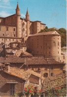 URBINO - CARATTERISTICO SCORCIO DEI TORRICINI - V1986 - Urbino