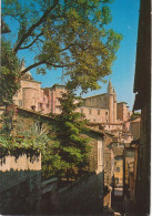 URBINO - SCORCIO PANORAMICO CENTRO STORICO - V1991 - Urbino