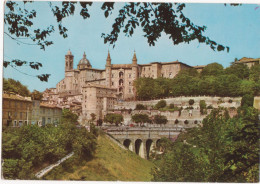 URBINO - PANORAMA E PALAZZO DUCALE - V1985 - Urbino