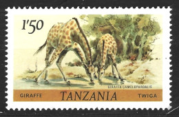 TANZANIA - TANSANIA - 1980 - FAUNA - JIRAFAS - GIRAFFEN - MI: 168C - YT 170 - MNH - Tanzanie (1964-...)