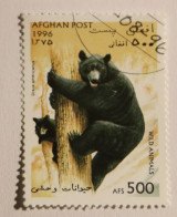 AFGHANISTAN 1996 Ours Noir Ursus Americanus Oblitéré - Afghanistan