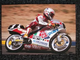 LORIS CAPIROSSI  CLASSE 125 CAMPIONE DEL MONDO 1990/91 - Motociclismo