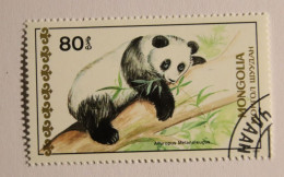 MONGOLIE 1989 Panda Géant Ailiorupoda Melanoleuca Oblitéré - Mongolie