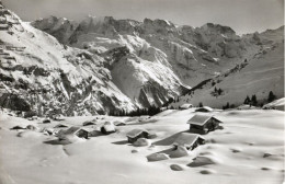 CARTOLINA 1955 SVIZZERA BERNA MURREN IM BLUMENTAL SCHWEIZERISCH POSTKARTE SWISS POSTCARD - Mürren