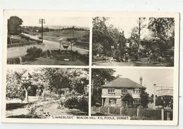 Angleterre Dorset - Limberlost Beacon Hill Po Poole Cachet Bournemouth 1959 - Bournemouth (depuis 1972)