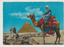 EGYPTE 12 : The Great Sphinx Of Giza And Klefren Pyramid - Sfinge