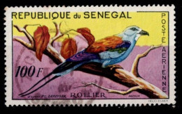 Senegal Mi 241 / Touraco Toerako Turacou - Cuckoos & Turacos