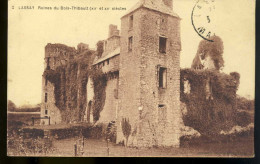 Lassay Ruines Du Bois Thibault - Lassay Les Chateaux