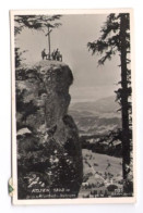 AK Kojen Blick A. Krumbach Und Bodensee Gel 1940 Österreich Vorarlberg - Bregenzerwaldorte