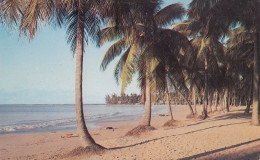 Puerto Rico - Luquillo Beach - Puerto Rico