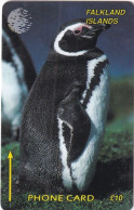 FALKLAND ISL.(GPT) - Jackass Penguin, First Issue 10 Pounds, CN : 1CWFB/B, Tirage 4000, Used - Islas Malvinas