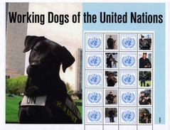 UN New York S41 Working Dogs Personalized Sheet (2011), MNH / United Nations - Blocs-feuillets