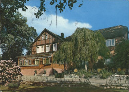 41288063 Adolphsheide Pensionshaus Schnehagen Bad Fallingbostel - Fallingbostel