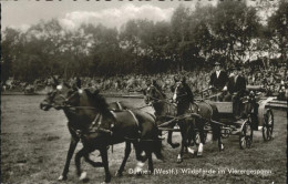 41287575 Duelmen Wildpferde Im Vierergespann Duelmen - Dülmen