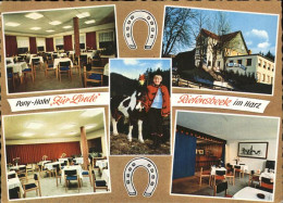 41287463 Riefensbeek-Kamschlacken Pony Hotel Zur Linde D. Guse Riefensbeek-Kamsc - Osterode