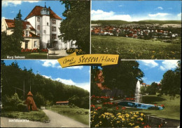 41287325 Seesen Harz Burg Sehusa Schildaukathe Seesen - Seesen