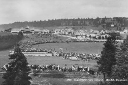 CPSM -SUISSE - SAIGNELÉGIER -  Marché Concours National De Chevaux - Saignelégier