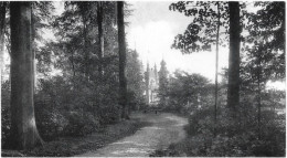 DILBEEK VUE DU PARC - Dilbeek