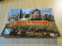 Souvenir De Champagne - Vues Diverses. - Champagne-Ardenne