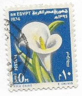 EGYPT  - 1974 - Zantedeschia Aethiopica Flowers [USED] (Egypte) (Egitto) (Ägypten) (Egipto) (Egypten) - Oblitérés