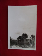 RPPC New Guinea   Oceania > Papua New Guinea    Ref 6311 - Papouasie-Nouvelle-Guinée