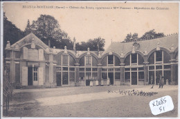 RILLY-LA-MONTAGNE- CHATEAU DES ROZAIS- APPARTENANT A MME POMMERY- DEPENDANCES DES COMMUNS - Rilly-la-Montagne