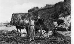 Port-Giraud La Plaine-sur-Mer Animée Ramassage Du Goëmon Métiers - La-Plaine-sur-Mer