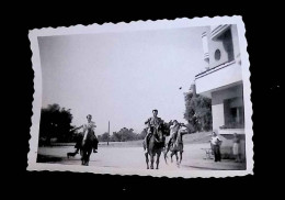 JC, Photographie, 1950, Sports, équitation, Chevaux, 90 X 65 Mm - Deportes