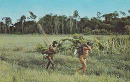 Venezuela Alto Orinoco - Native Shamatari Indians Old Postcard 1969 - Venezuela