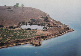 Cartolina Isola Di Mozia ( Marsala ) Il Cothon Fenicio - Marsala