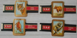 E16 Lot Bagues De Cigares  Taf   Série Animaux  4 Pièces - Bagues De Cigares