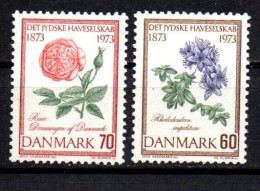 1973 - Danimarca 552/53 Fiori     ------ - Unused Stamps