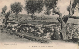 ALGÉRIE - Alger - À Travers Les Oliviers - Carte Postale Ancienne - Alger