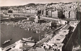 ALGÉRIE - Alger - Vue Générale - Carte Postale - Algiers