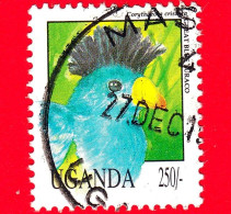 UGANDA - Usato - 1992 - Uccelli - Great Blue Turaco (Corythaeola Cristata) - 250 - Ouganda (1962-...)