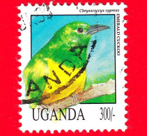 UGANDA - Usato - 1992 - Uccelli - Cuculo Smeraldo Africano (Chrysococcyx Cupreus) - 300 - Ouganda (1962-...)