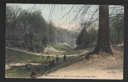 Bruxelles Bois De La Cambre Le Grand Ravin Brussel Htje - Bossen, Parken, Tuinen